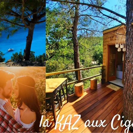 Cabane Dans Les Arbres "La Kaz Aux Cigales" Кюерс Екстер'єр фото