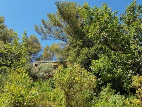 Cabane Dans Les Arbres "La Kaz Aux Cigales" Кюерс Екстер'єр фото