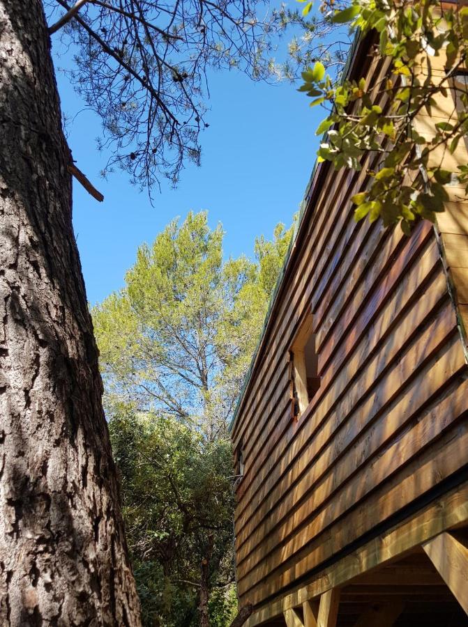 Cabane Dans Les Arbres "La Kaz Aux Cigales" Кюерс Екстер'єр фото